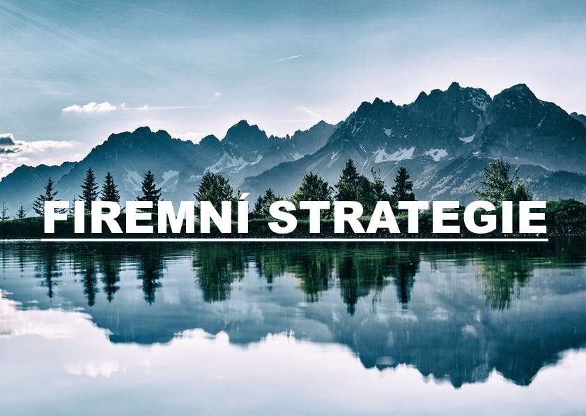 Firemní strategie