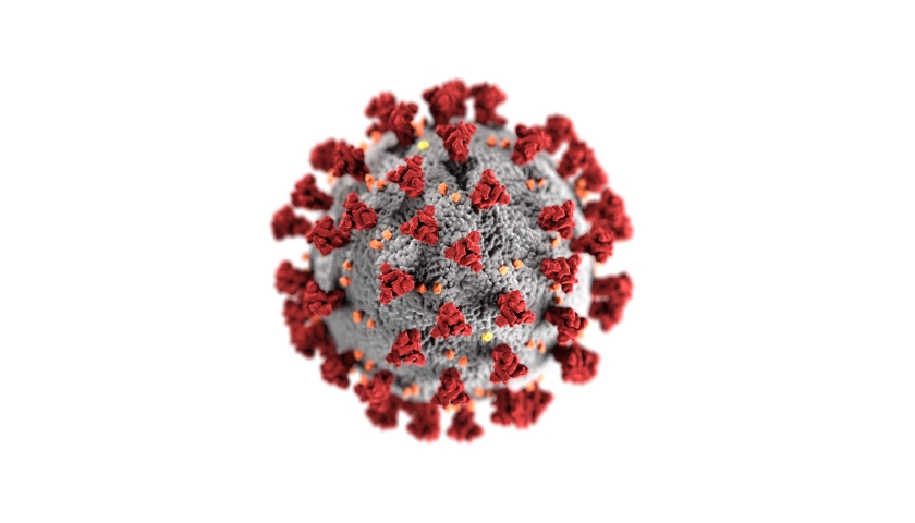 SARS-CoV-2
