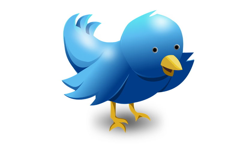 Twitter Musk plány