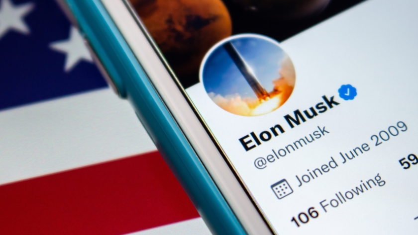 Elon Musk Twitter spam