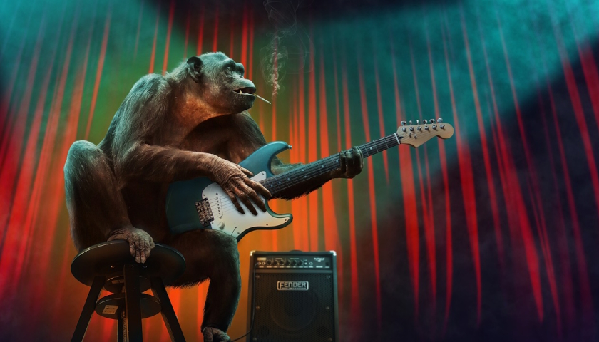 Twitter monkey music